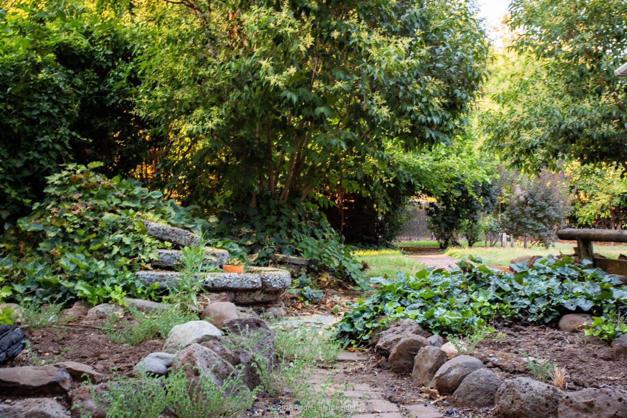 Downtown Dream Casa Near Chico State, Private Yard别墅 外观 照片